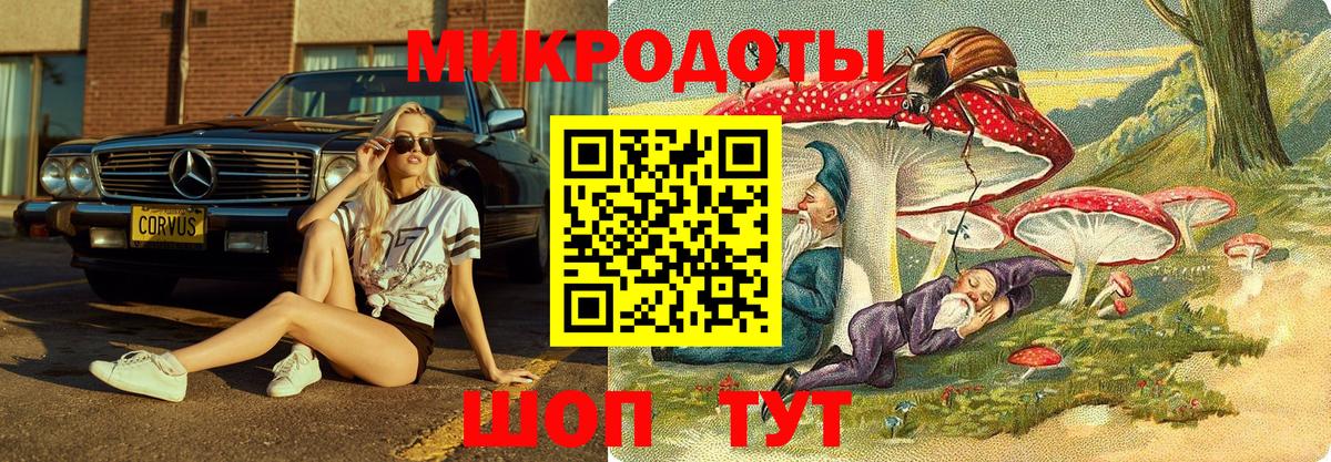 Галлюциногенные грибы Psilocybine cubensis Рубцовск